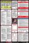 Accuform OSHA Safety Poster:Combination State,Federal&Labor Law Poster