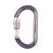 Petzl OK Aluminum Oval Carabiner