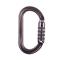 Petzl OK Aluminum Oval Carabiner