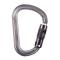 Petzl WILLIAM Asymmetrical Aluminum Carabiner