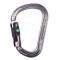 Petzl WILLIAM Asymmetrical Aluminum Carabiner