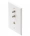 CTS Wall Plate Two Barrels & RJ11 Ivory