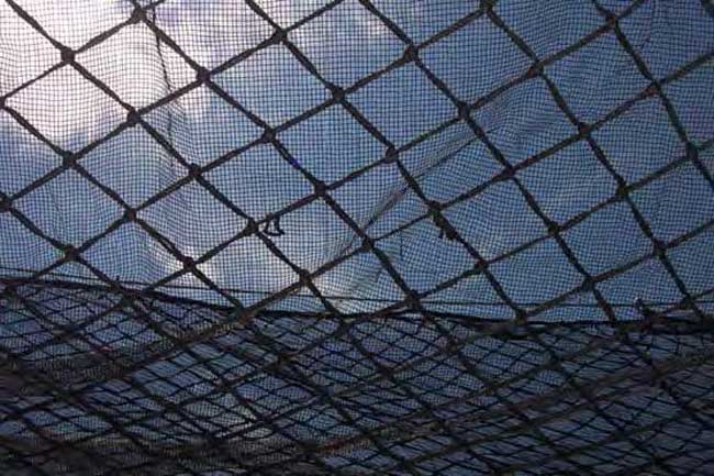 Safety Net with Debris Liner from GME Supply