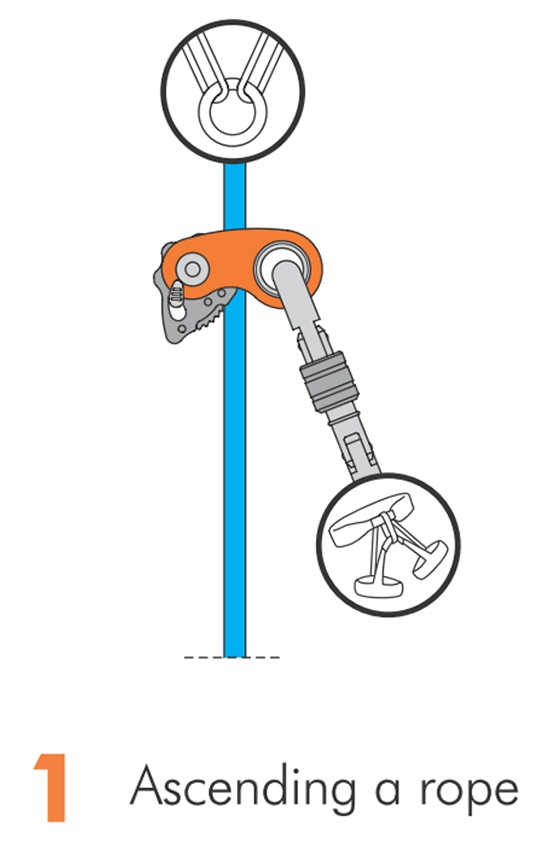 Climbing Technology RollNLock Rope Clamp from GME Supply